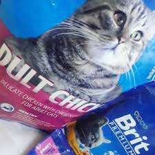Pin On Catfood