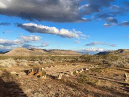 Image result for Blue 1961 Hotpoint