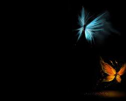 You can also upload and share your favorite 1280x1024 hd wallpapers. Hd Wallpaper Light Butterflies 1280x1024 Animals Butterflies Hd Art Wallpaper Flare