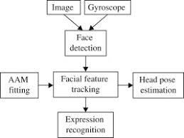 Facial Feature An Overview Sciencedirect Topics