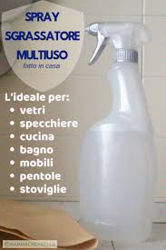 Sgrassatore Fatto In Casa Multiuso Mammachepaella Detergente Fatto In Casa Detersivo Fatto In Casa Ammorbidente Fatto In Casa