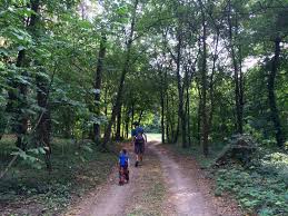 Tot pe lângă bucureşti se poate vizita conacul udrişte năsturel din hereşti. Locuri De Vizitat Cu Familia Pe LangÄƒ BucureÈ™ti Domeniul È™tirbey