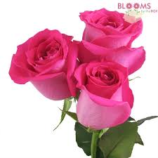 Your don't need to have experience to make your own wedding flowers. Affordable Roses For Weddings And Events Blooms By The Box