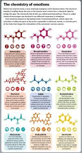 Is More Than A Word Emotionalintelligence Emotions Chemistryofemotions Erinfado Youwillbearwitness Fightingf Understanding Emotions Brain Facts Chemistry