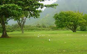 Kerala Travel Packages Hd Nature Wallpapers Nature Wallpaper Landscape Wallpaper