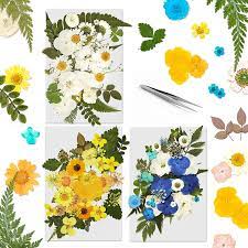 Check spelling or type a new query. Buy 120 Pcs Dried Pressed Flowers For Resin Art Natural Dried Flowers Colorful Chrysanthemum Daisy With Tweezers For Scrapbooking Diy Candle Decoration Resin Jewelry Crafts Making Blue White Yellow Online In Poland B08yz15qdh