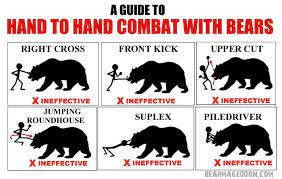 If your arms won't 4. 10 Bear Tips Ideas Bear Bear Attack Funny Bears