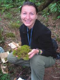 Image result for Habenaria splendentior