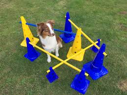 Die ställe, die fertig im handel angeboten werden, sind oft sehr klein und nicht gut vor feinden gesichert. Der Grosse Steckhurden Test Fur Dich Und Deinen Hund Hundtastisch