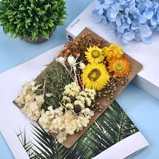 Check spelling or type a new query. 1pack Preserved Flower Dried Flowers For Diy Resin Crafts Making Fit Aromatherapy Candle Epoxy Frame Embossing Decoration Hot Offer 45e4cf Goteborgsaventyrscenter