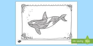 27 jan, 2021 post a comment. Orca Ausmalbild Zur Besinnung Teacher Made