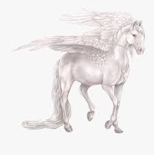 1) draw a rectangle that will define the conditional proportions and boundaries of the chosen drawing. Drawn Unicorn Realistic White Pegasus Drawing Free Transparent Clipart Clipartkey