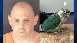 All preventives can be purchased at the animal clinic of the humane society of sarasota county. Venice Man Arrested After Stealing Parrot From Local Pet Store Wfla