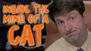 10 Facts about the Mind of a Cat