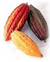 Connaissez Vous Le Nom De Ce Fruit Si Unique Cueilli Sur Le Cacaoyer Et Qui Procure Ce Gout Si Special Au Chocolat Cote D Or Chaud Chocolat Fruit Le Cacao