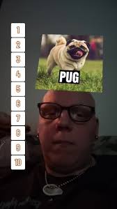 oatmealcreamepie #dogs #husky #rottweiler #fyp #dessert