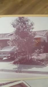 Image result for Avocado Green 1972 Roper