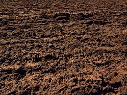 Sandy loam is considered the ideal garden soil and consists of a mix of the three basic textures. Brown Garden Soil Soil Graphy Texture Clay Dirt Brown Landscape Rock Png Pngwing