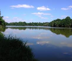 Touches, astuces, cheat du jeu pêche étang : Les Plans D Eau Federation De Peche De L Allier