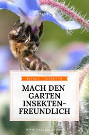 Fur Das Uberleben Unserer Bienen Und Insekten Ist Insektenfreundliches Gartnern Unerlasslich Hilf Mit Unse Garten Bienenfreundlicher Garten Vorgarten Anlegen