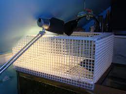 Redearslider Com View Topic Frankie S New Basking Area Turtle Tank Turtle Terrarium Turtle Habitat