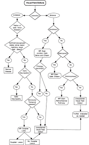 Image result for Visual Field Deficit