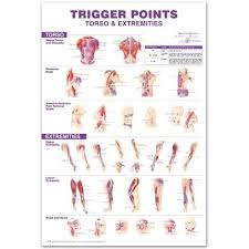 trigger points giant chart