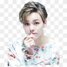 Vernon Memes Seventeen