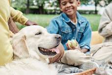 Bones to Books: Read to a Therapy Dog