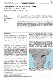 Image result for Crepidorhopalon namuliensis