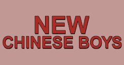 NEW CHINESE BOYS Delivery Menu | Order Online | {{street ...