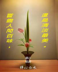 pin by 雲水禪心on 法雨禪林 home decor decals home decor decor