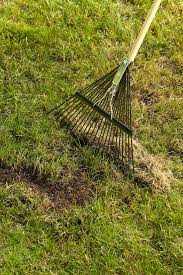 Detaching removes the thick layer of dead plant material (thatch). Why When And How To Dethatch A Lawn Better Homes Gardens