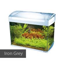 Now Available On Our Store Boyu Zj401a Tank Check It Out Here Http Www Freshnmarine Com Products Boyu Zj401a Tank Filter Lamp S Lamp Sets Lamp Settings