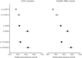 Mitochondrial Dna Sequence Variants Associated With Blood