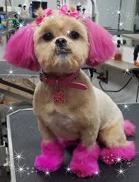 The options are screaming pink, glamour gold, magic purple, monster green, popstar pink, midnight blue, silver shimmer, tango turquoise, tuxedo black. Lue Lues Official Pet Boutique