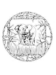 A beautiful bestiary just waiting to be printed and colored. Animal Mandala Coloring Pages For Adult Free Printable Animal Mandala Coloring Pages
