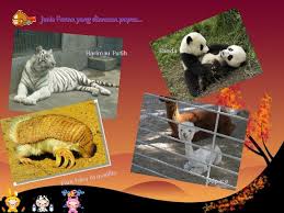 Flora dan fauna di bagian barat disebut juga flora fauna dangkalan sunda. Kepupusan Flora Flauna Name Pok Jie Enn Koo