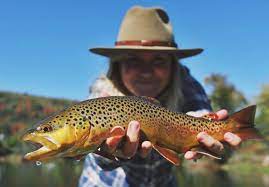 7 Best Places To Fly Fish In Tennessee
