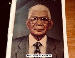 THE GARDENER OF EDEN