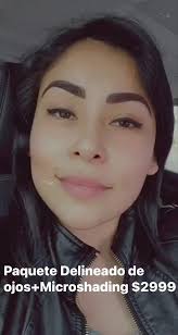 Paquete delineado de ojos+ Microshading $2999