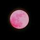 Full Moon Cruise (Strawberry Moon)