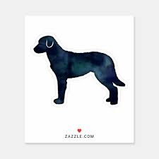 Black And White Chesapeake Bay Retriever Pin On Chesapeake Bay Retriever Art And Gifts