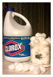 Cleaning Mold From Bathroom Shower Corners An Easy No Fuss Way To Clean That Stubborn Mold Mildew From Yo Cleaning Mold Household Cleaning Tips Cleaning Hacks