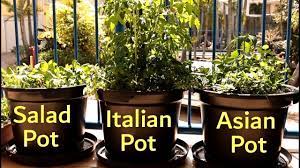 Fresh home grown vegetables taste delicious, are good for health and safe from chemicals. How To Grow A Vegetable Garden On A Balcony Growing In Small Spaces Ep3 S1 Youtube