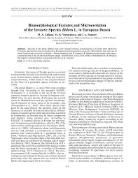 Image result for Bidens acuticaulis