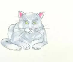 Drawing Cats How To Articles From Wikihow