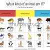 Like herbivores and carnivores, omnivores are a very important part of the food chain or web. 3