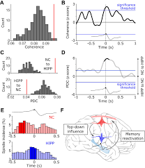 The city hall is the seconf location the player is allowed to unlock. Sleep Spindles Mediate Hippocampal Neocortical Coupling During Long Duration Ripples Elife