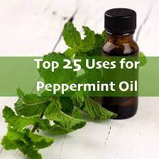 Peppermint Oil Uses Benefits Side Effects And More Dr Axe Peppermint Oil Uses Peppermint Essential Oil Benefits Peppermint Essential Oil